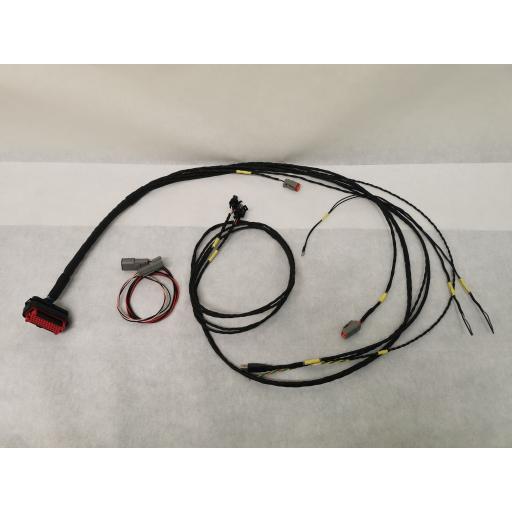 ECU-Master ADU Wiring loom / harness