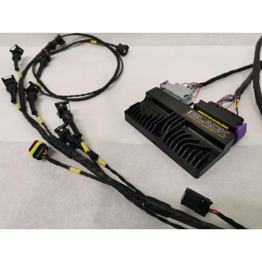 Ford Fiesta ST150 / Ecu-Master Black wiring loom / Ecu package