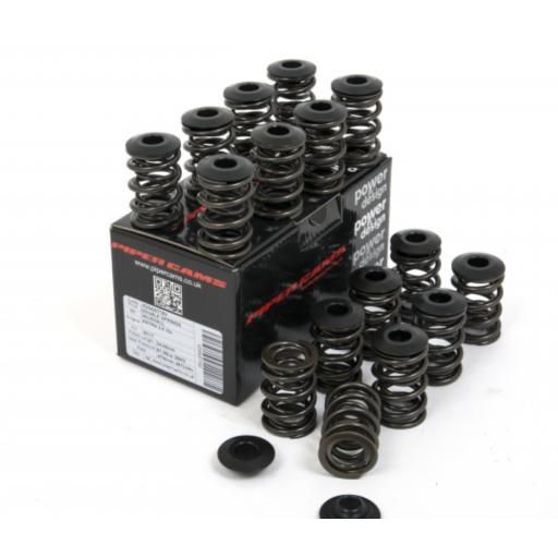 VAUXHALL C20XE UPRATED DOUBLE VALVE SPRINGS AND TOP CAPS